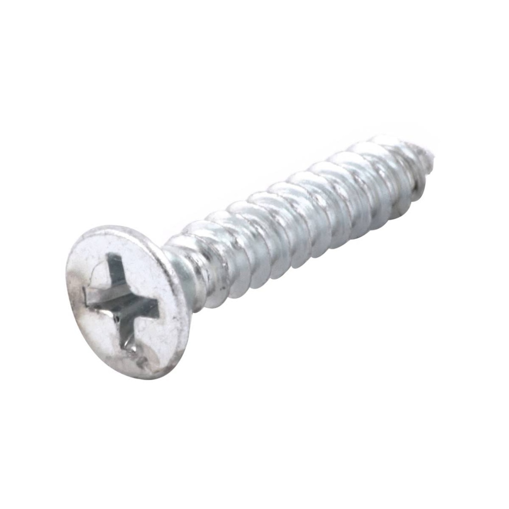 PIJA CABEZA PLANA PHILLIPS GALVANIZADA PUNTA TIPO AB#10 x 2-1/2" (Precio x Pieza- caja c/500 piezas